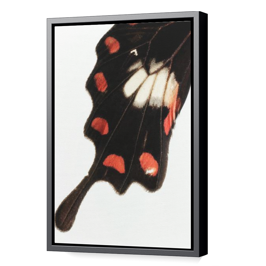 Thumbnail for Canvas - Black Floating Frame