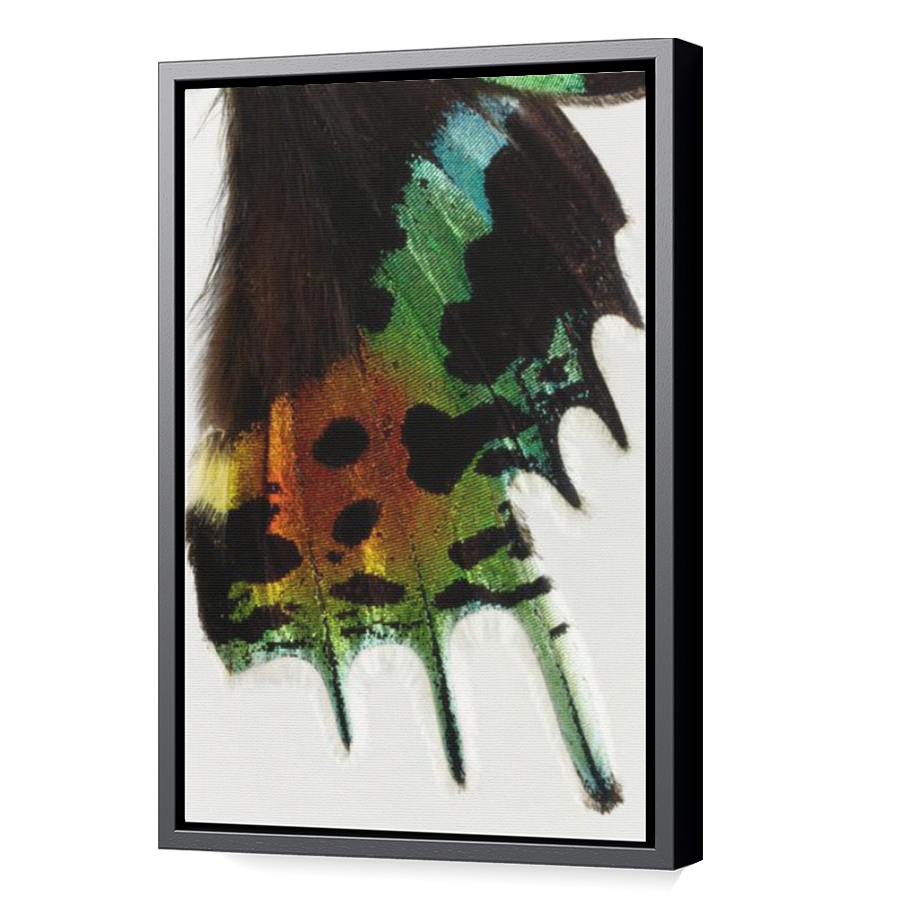 Thumbnail for Canvas - Black Floating Frame