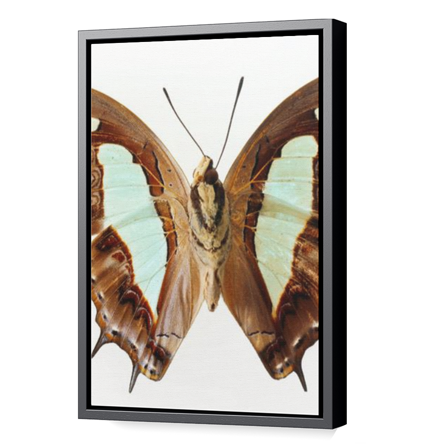 Thumbnail for Canvas - Black Floating Frame