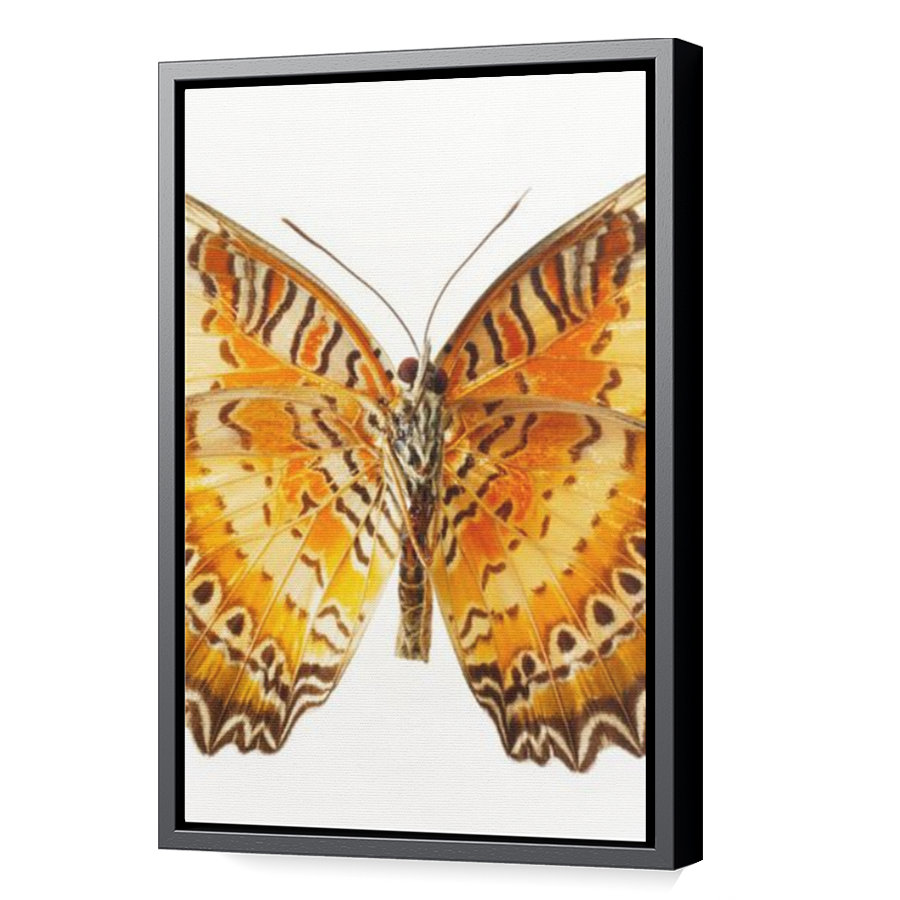 Thumbnail for Canvas - Black Floating Frame