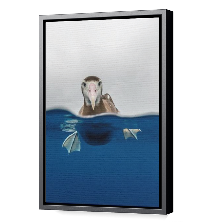 Thumbnail for Canvas - Black Floating Frame