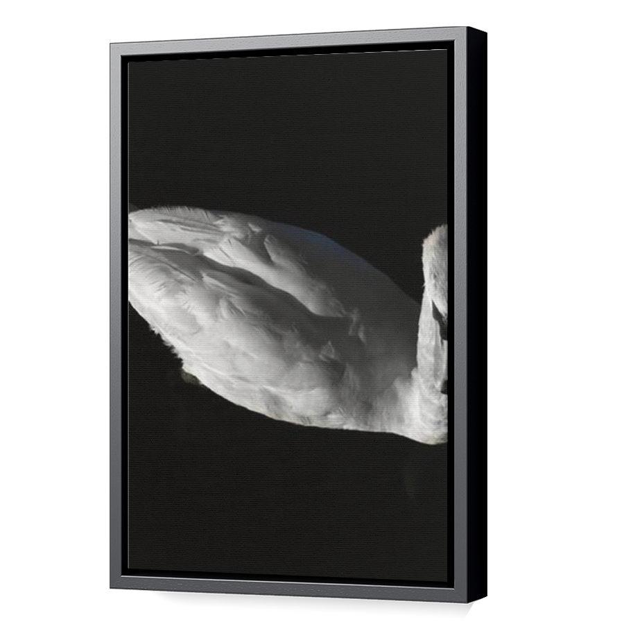 Thumbnail for Canvas - Black Floating Frame