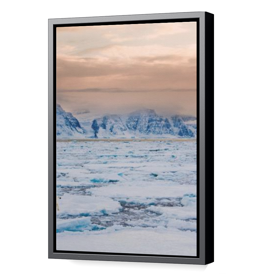 Thumbnail for Canvas - Black Floating Frame