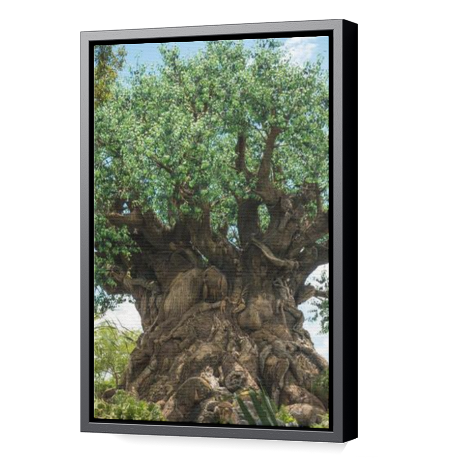 Thumbnail for Canvas - Black Floating Frame