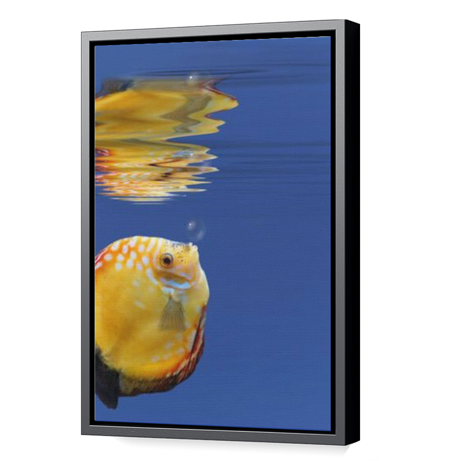 Thumbnail for Canvas - Black Floating Frame