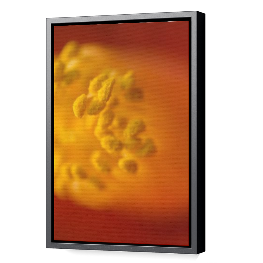 Thumbnail for Canvas - Black Floating Frame