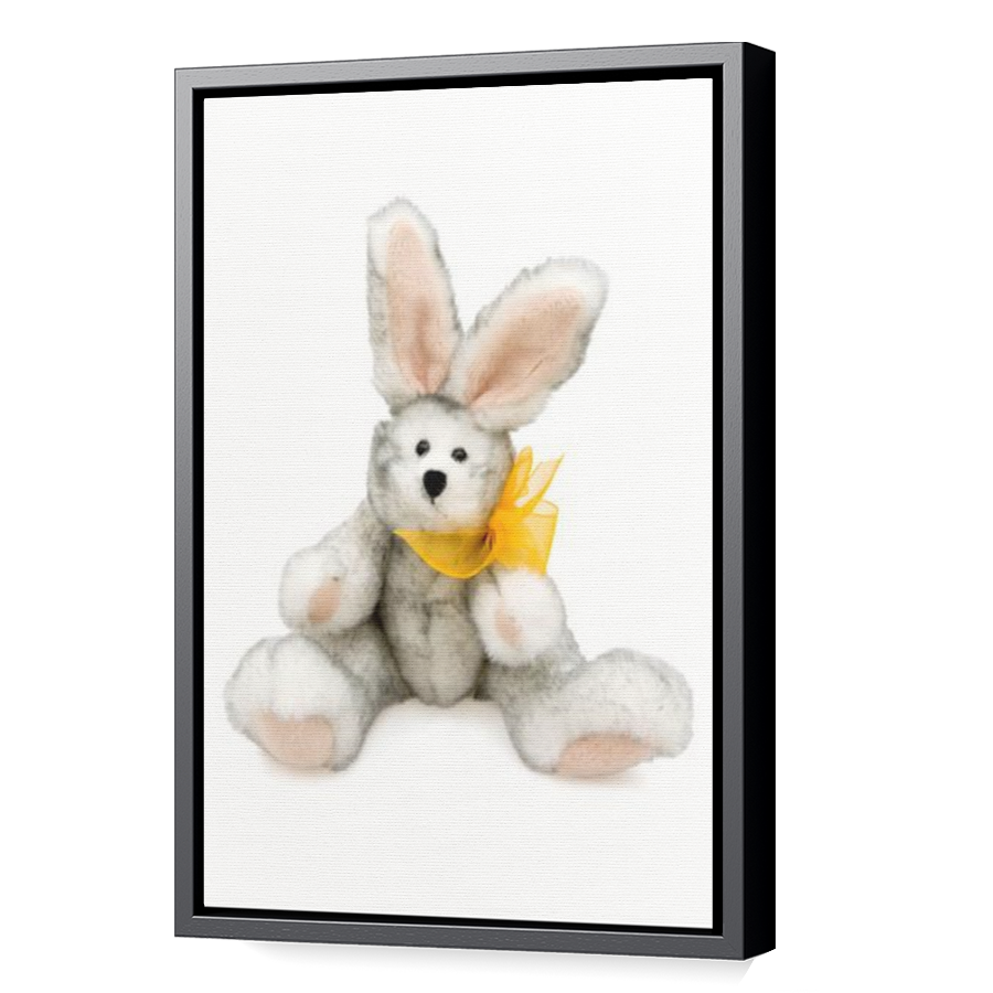 Thumbnail for Canvas - Black Floating Frame