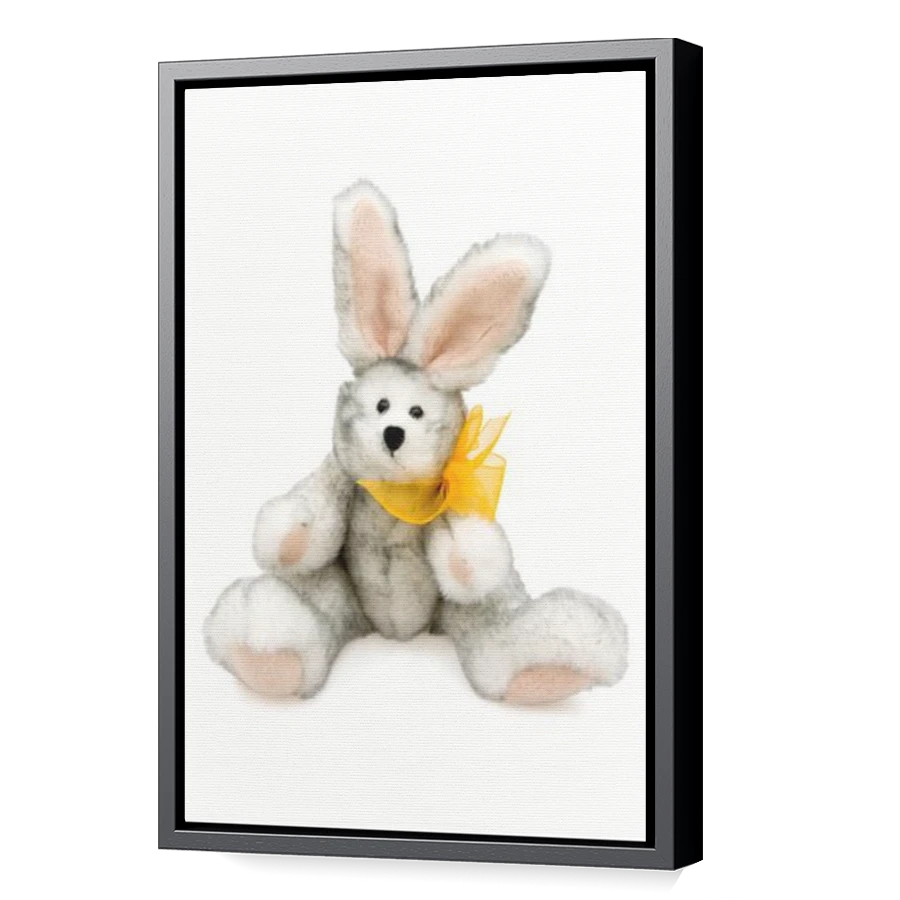 Thumbnail for Canvas - Black Floating Frame