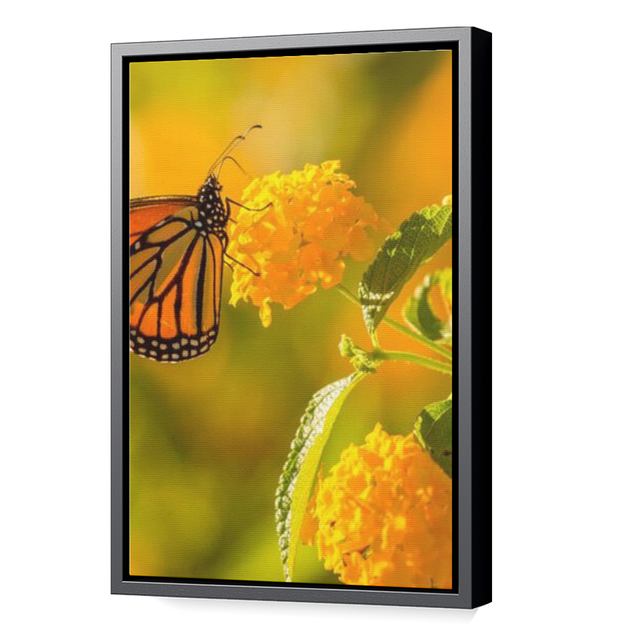 Thumbnail for Canvas - Black Floating Frame