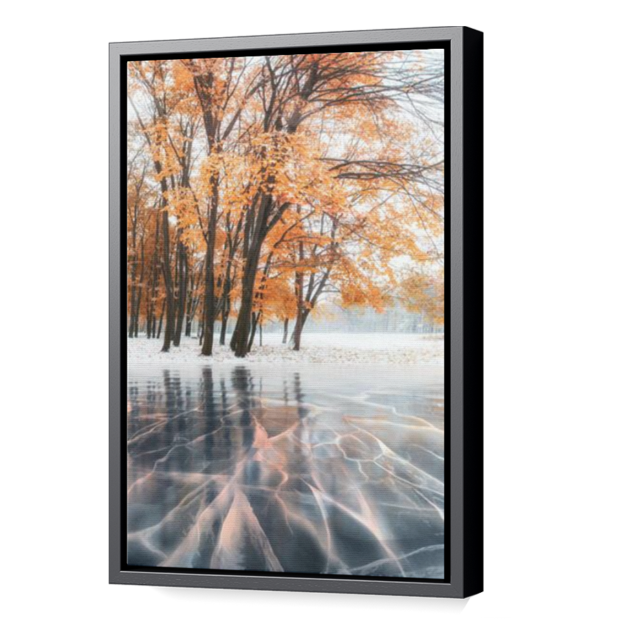Thumbnail for Canvas - Black Floating Frame