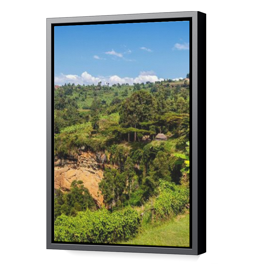 Thumbnail for Canvas - Black Floating Frame