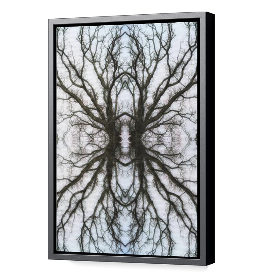 Thumbnail for Canvas - Black Floating Frame