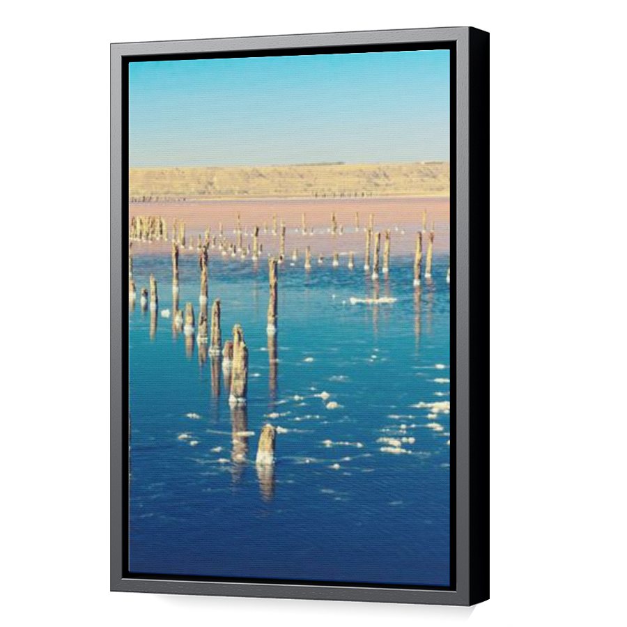 Thumbnail for Canvas - Black Floating Frame