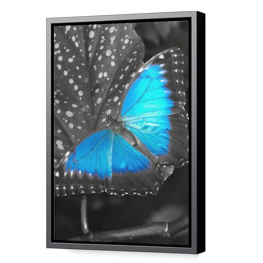 Thumbnail for Canvas - Black Floating Frame