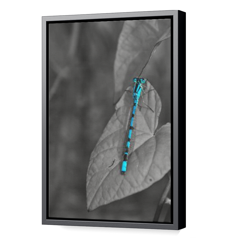 Thumbnail for Canvas - Black Floating Frame