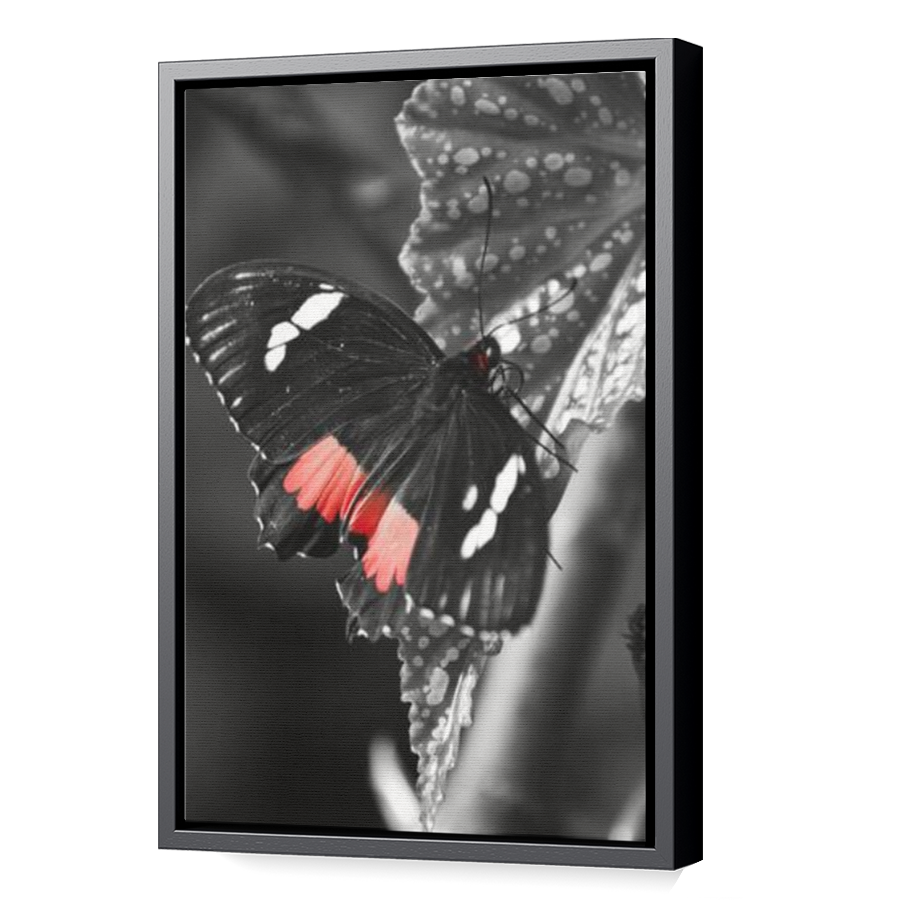 Thumbnail for Canvas - Black Floating Frame