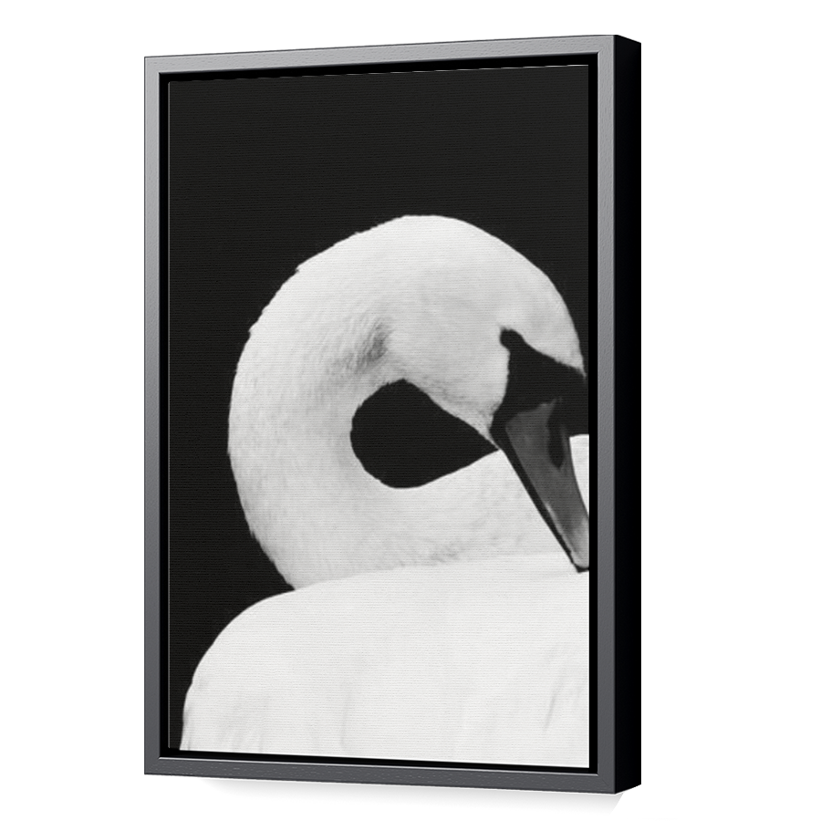 Thumbnail for Canvas - Black Floating Frame