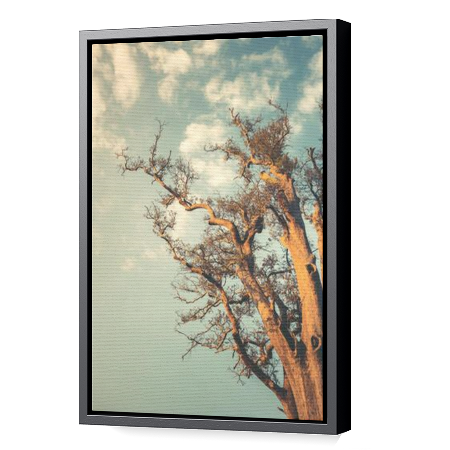 Thumbnail for Canvas - Black Floating Frame
