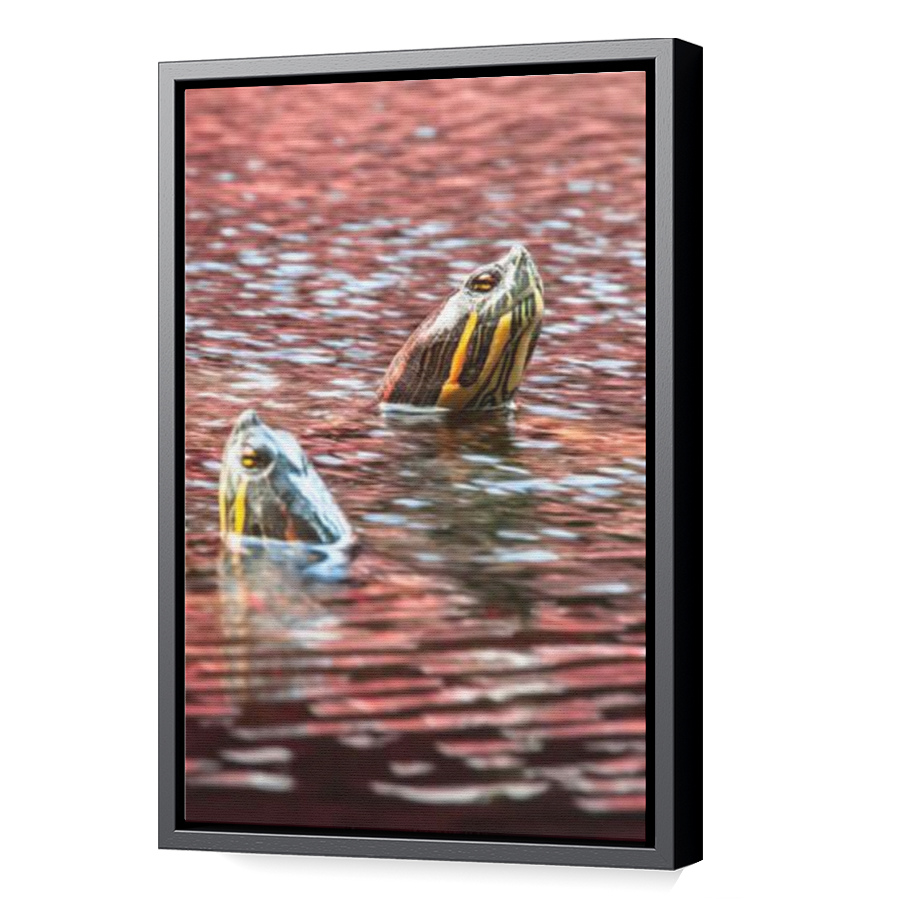 Thumbnail for Canvas - Black Floating Frame