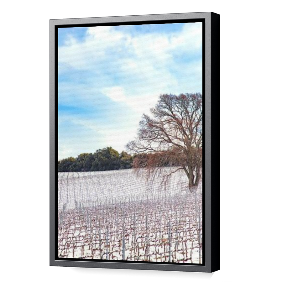 Thumbnail for Canvas - Black Floating Frame