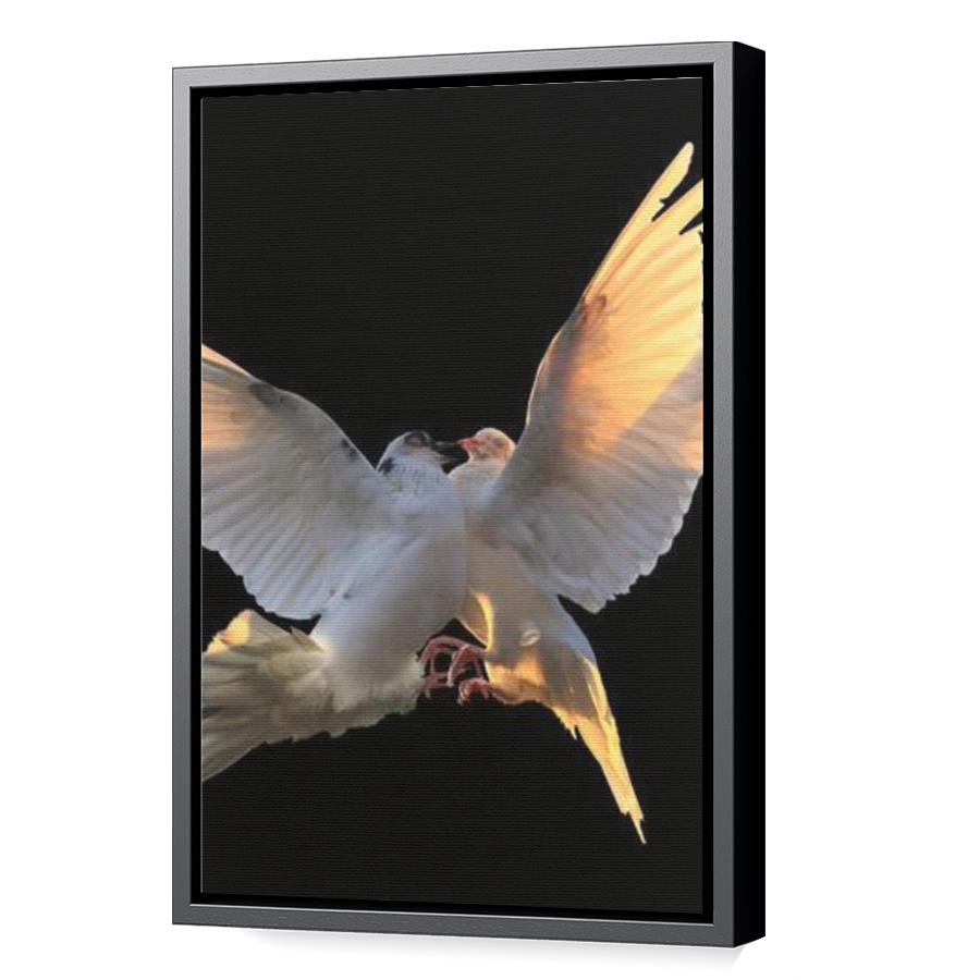Thumbnail for Canvas - Black Floating Frame