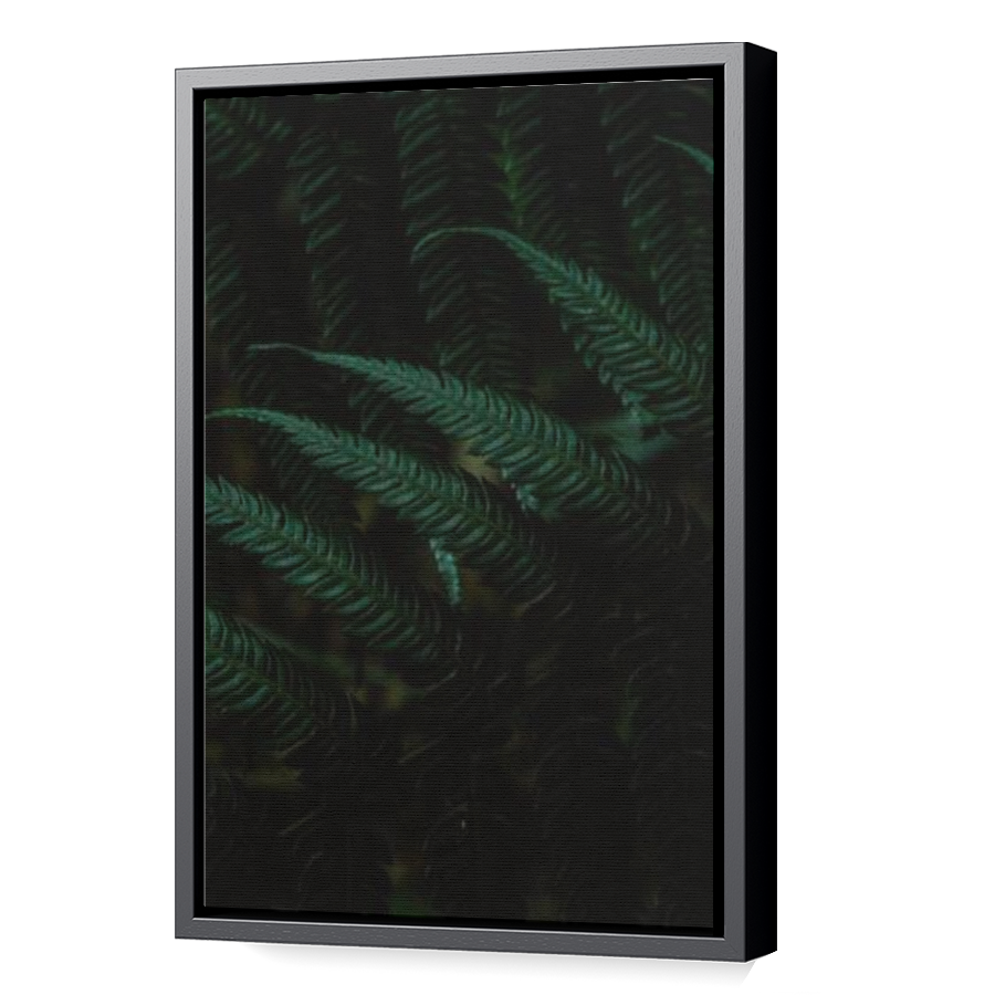 Thumbnail for Canvas - Black Floating Frame