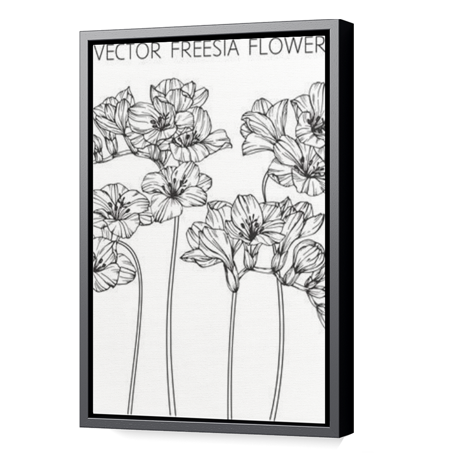 Thumbnail for Canvas - Black Floating Frame
