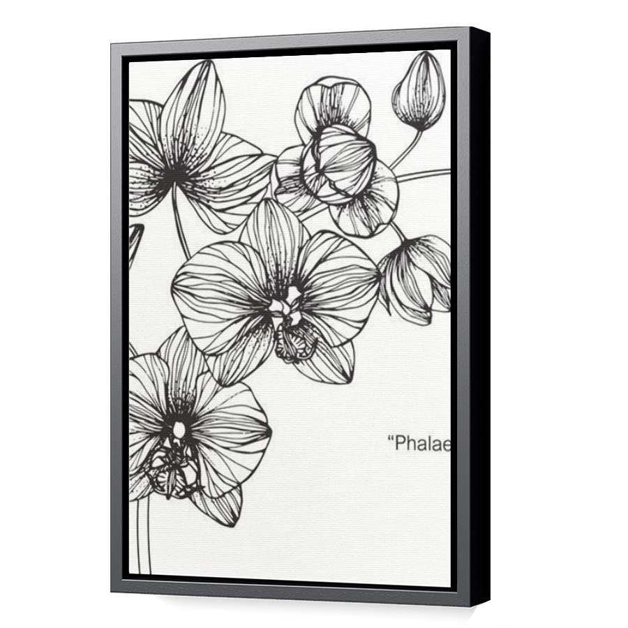 Thumbnail for Canvas - Black Floating Frame