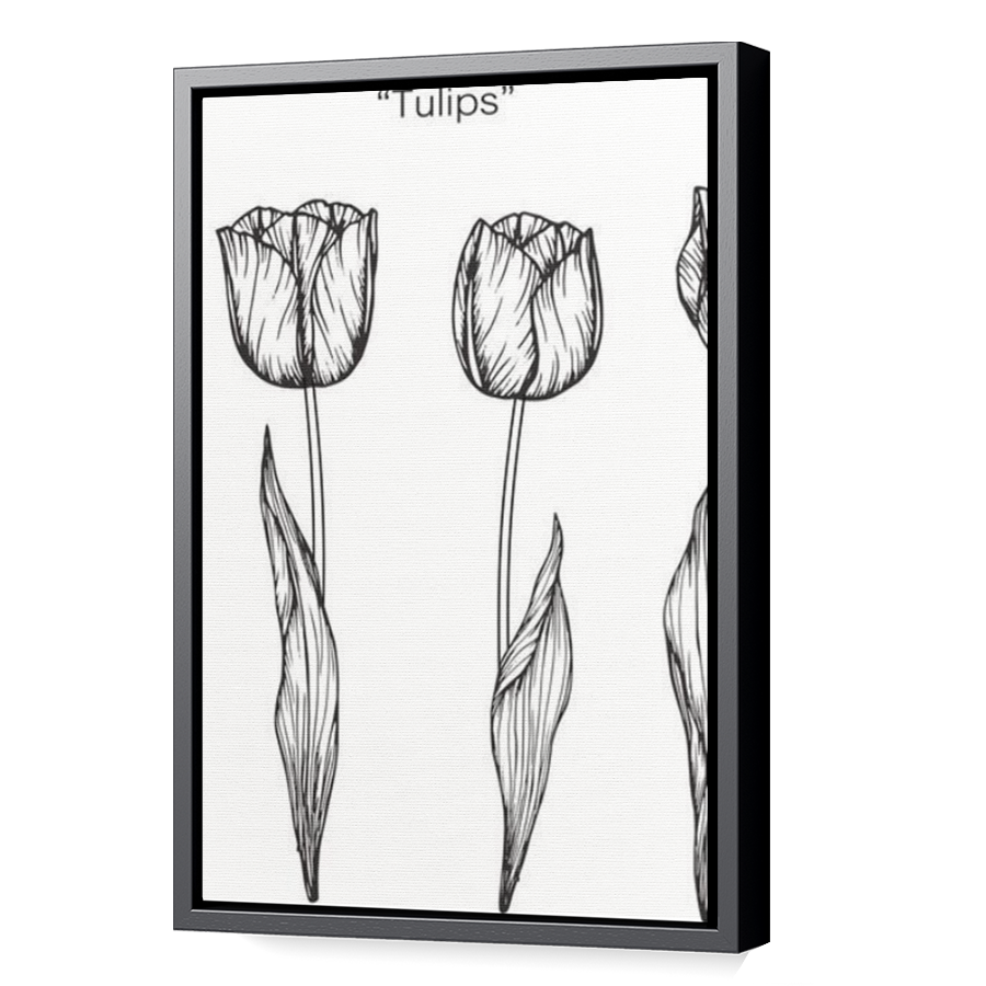 Thumbnail for Canvas - Black Floating Frame