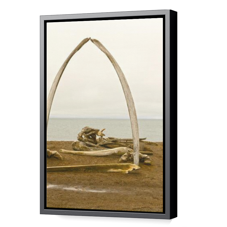 Thumbnail for Canvas - Black Floating Frame