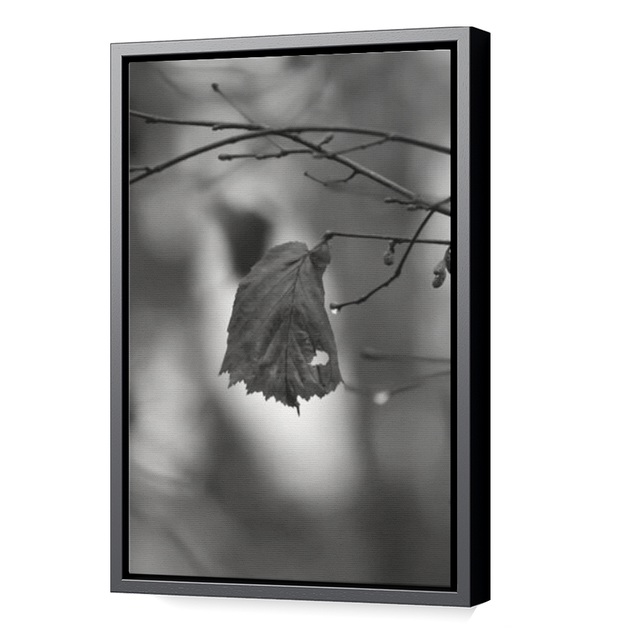 Thumbnail for Canvas - Black Floating Frame