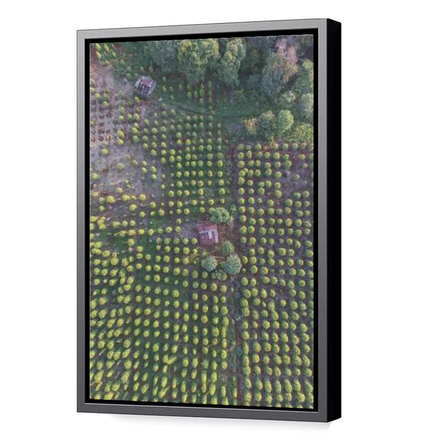 Thumbnail for Canvas - Black Floating Frame