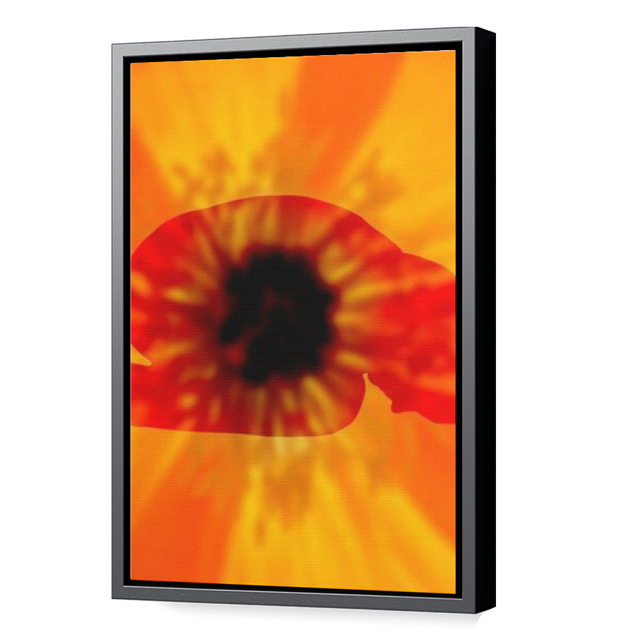Thumbnail for Canvas - Black Floating Frame