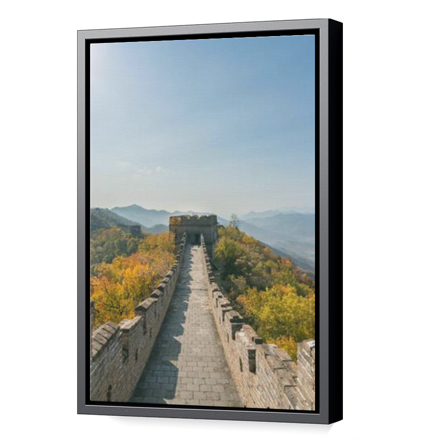 Thumbnail for Canvas - Black Floating Frame