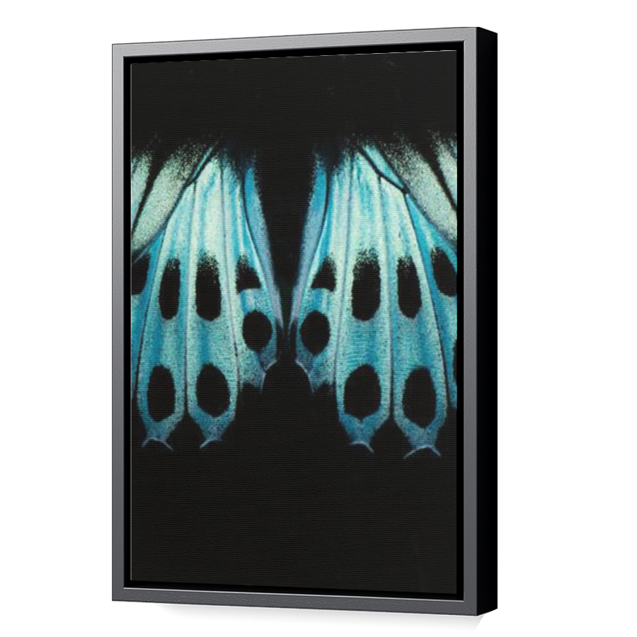 Thumbnail for Canvas - Black Floating Frame
