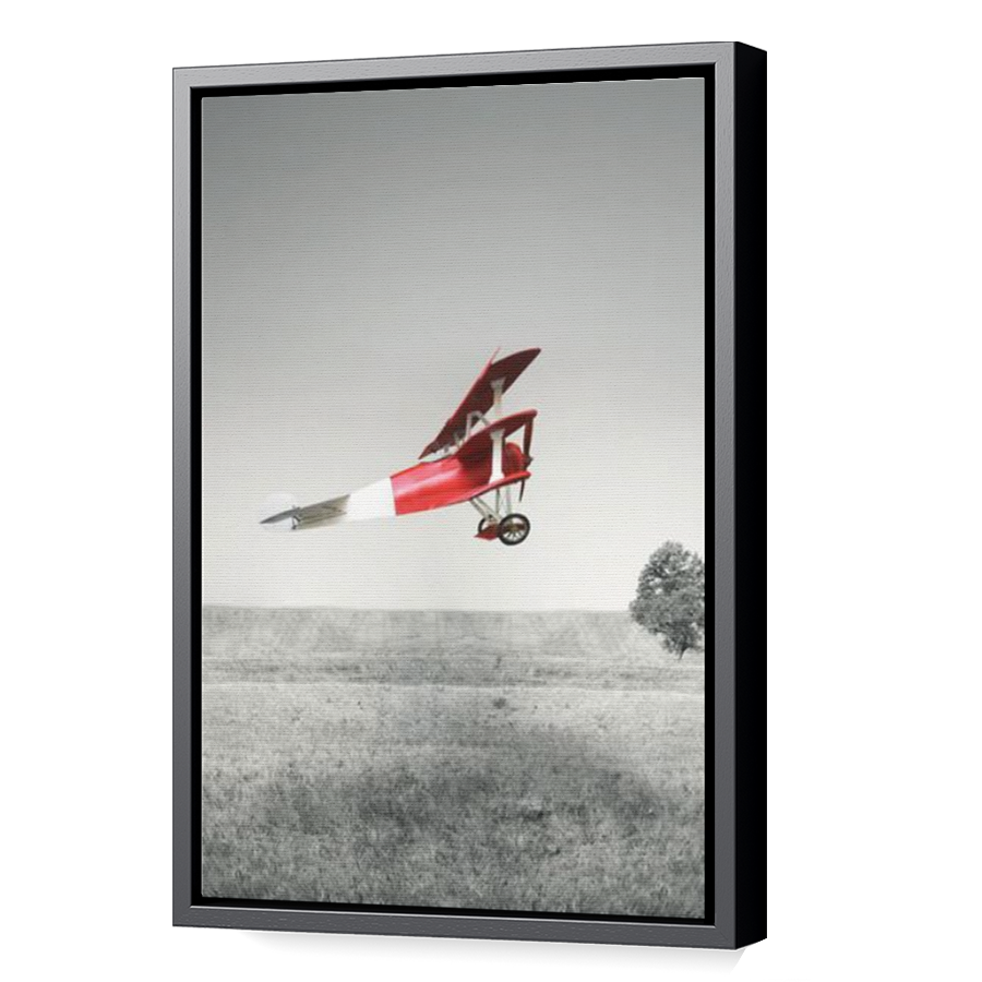 Thumbnail for Canvas - Black Floating Frame