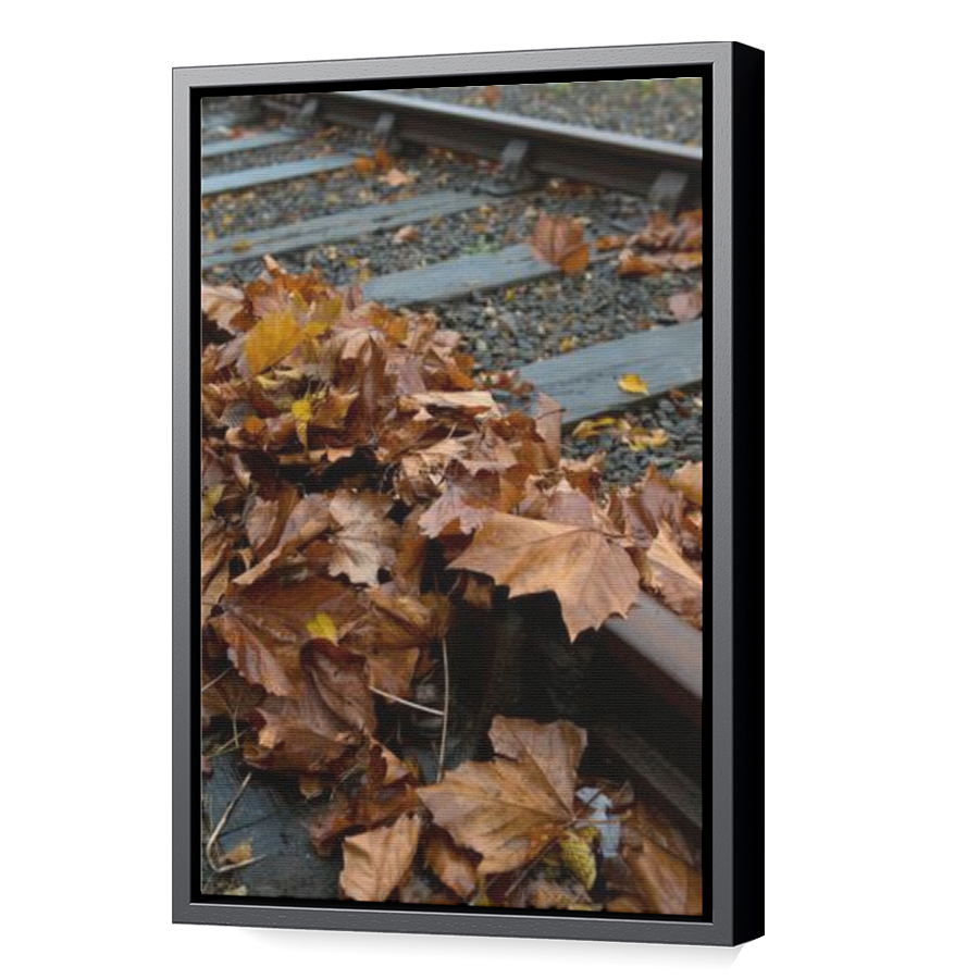 Thumbnail for Canvas - Black Floating Frame