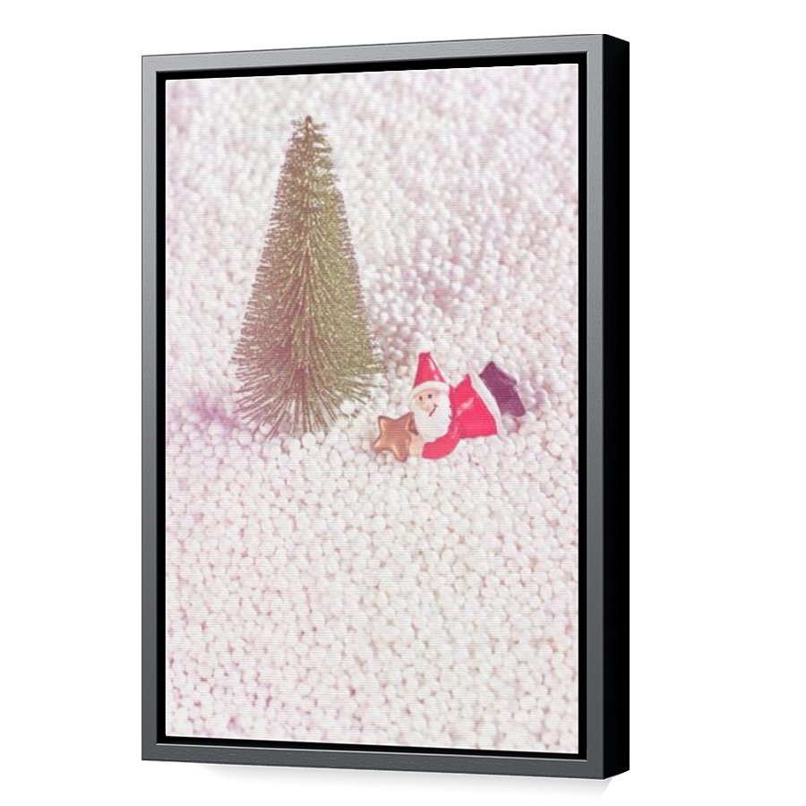 Thumbnail for Canvas - Black Floating Frame