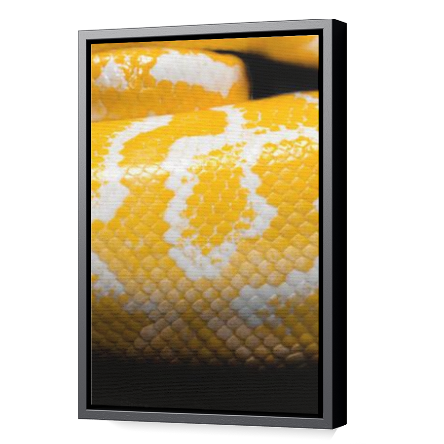 Thumbnail for Canvas - Black Floating Frame