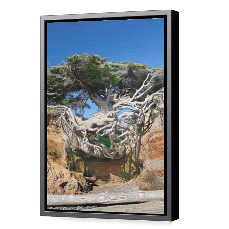 Thumbnail for Canvas - Black Floating Frame