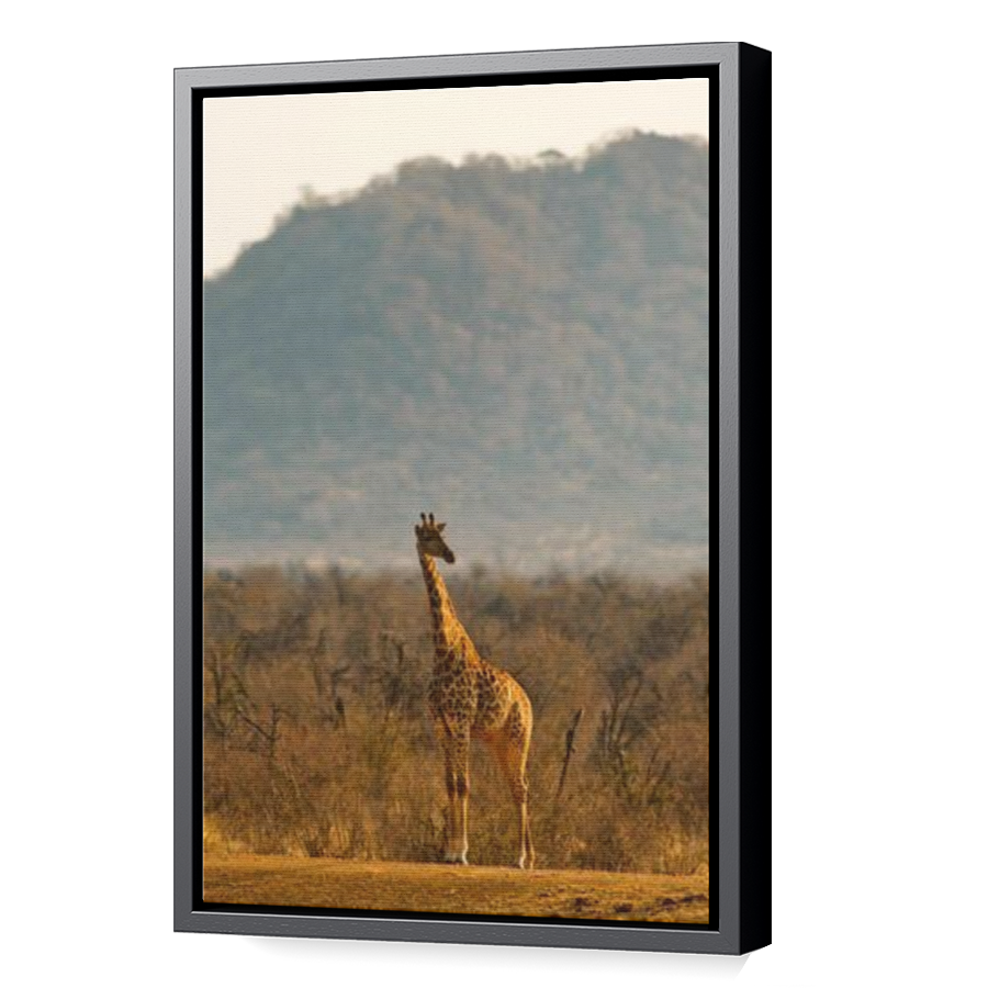 Thumbnail for Canvas - Black Floating Frame