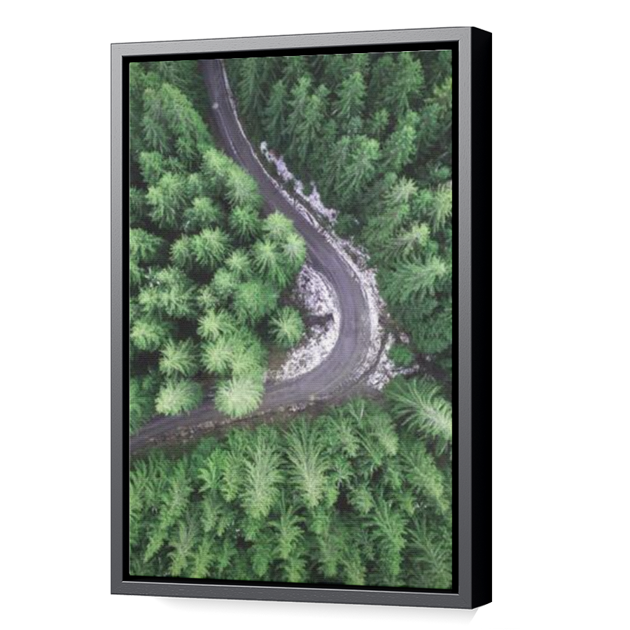 Thumbnail for Canvas - Black Floating Frame
