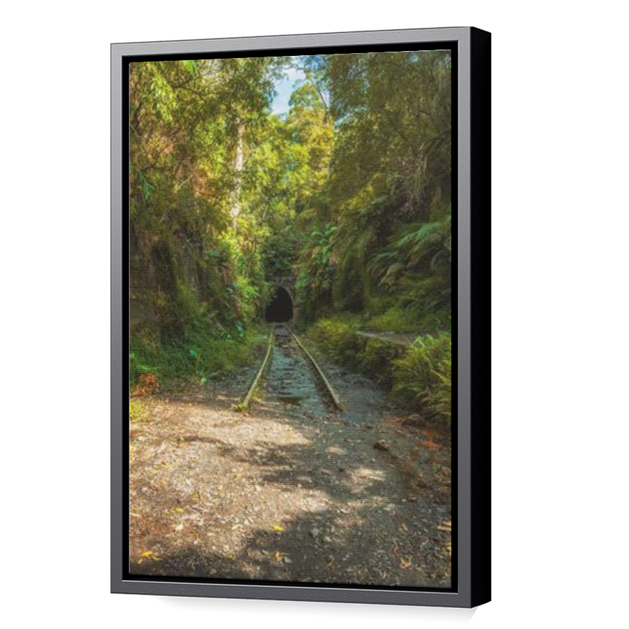 Thumbnail for Canvas - Black Floating Frame