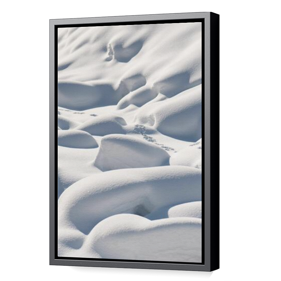 Thumbnail for Canvas - Black Floating Frame
