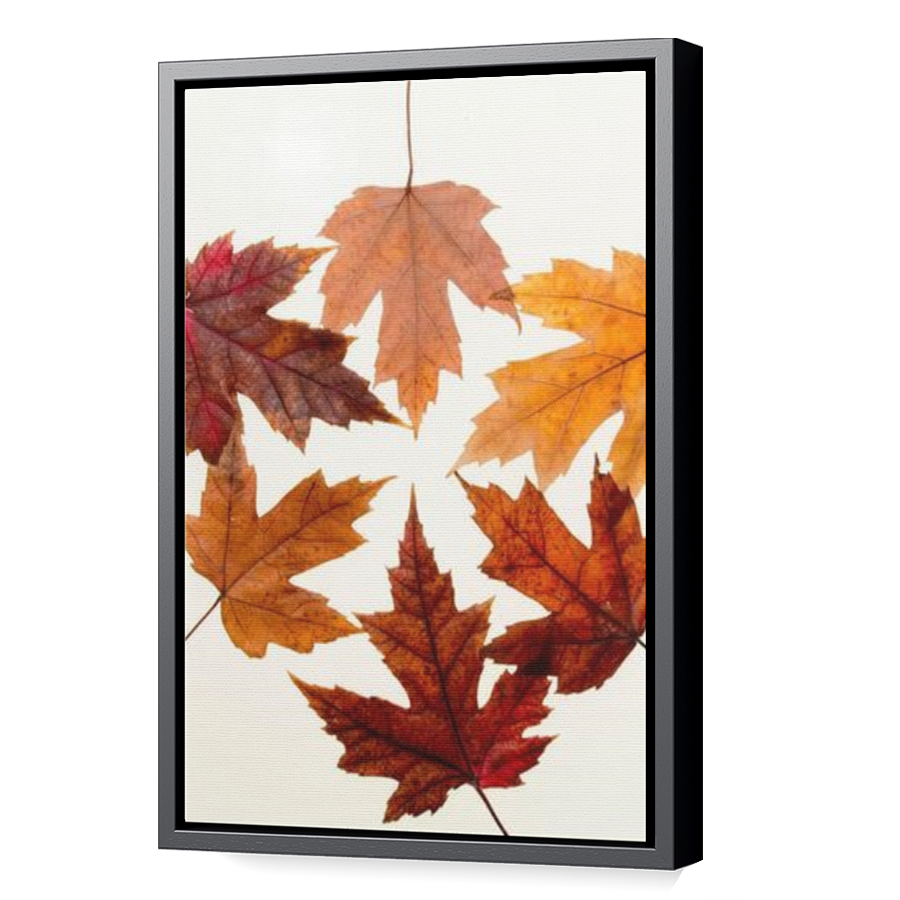 Thumbnail for Canvas - Black Floating Frame
