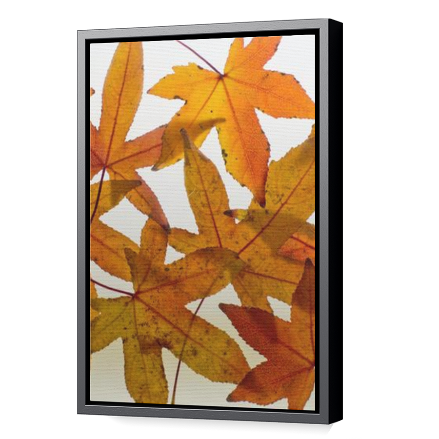 Thumbnail for Canvas - Black Floating Frame