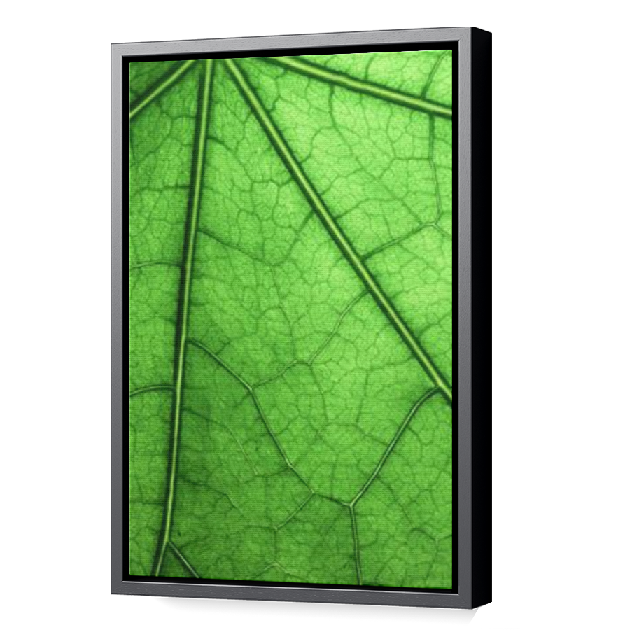 Thumbnail for Canvas - Black Floating Frame