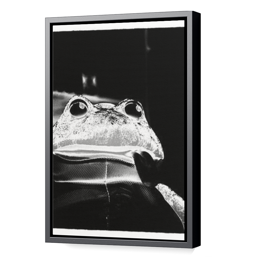 Thumbnail for Canvas - Black Floating Frame
