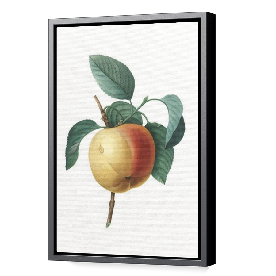Thumbnail for Canvas - Black Floating Frame