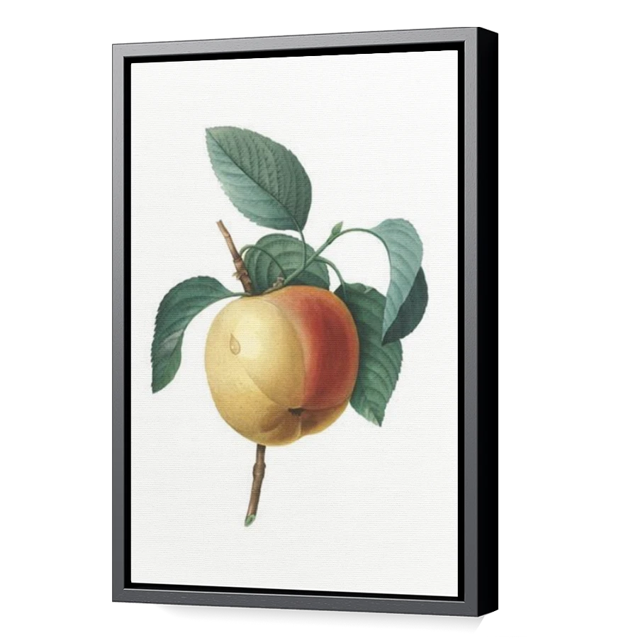 Thumbnail for Canvas - Black Floating Frame